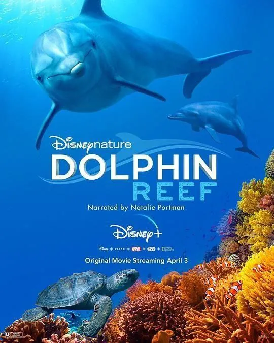 海豚礁（2020）4KHDR中英外挂字幕 夸克