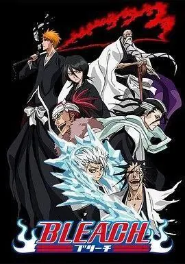 🖼名称：死神（2004）1080P全集国粤日多音轨内嵌简中字幕 夸克